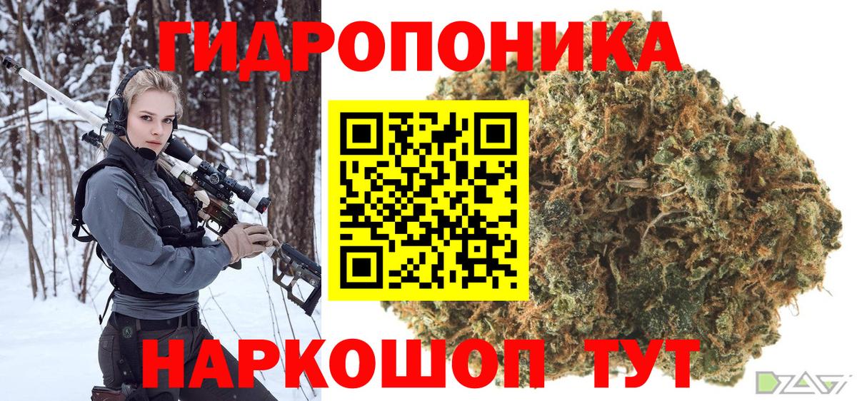 Бошки марихуана сатива Омск